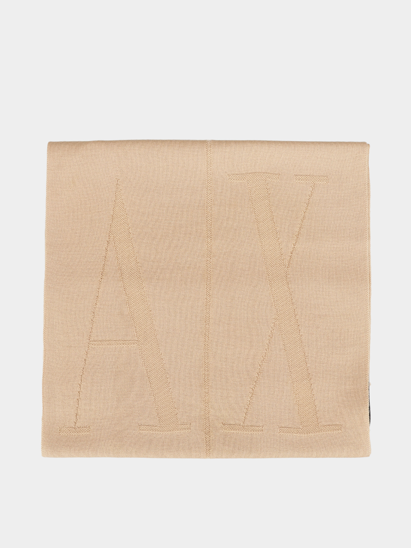 Шарф Armani Exchange модель XW001446-AF11896-U1051 Фото