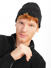 Шапка Armani Exchange модель 954660-2F300-00020 Фото