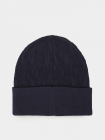 Шапка Armani Exchange модель 954660-2F300-00035 Фото