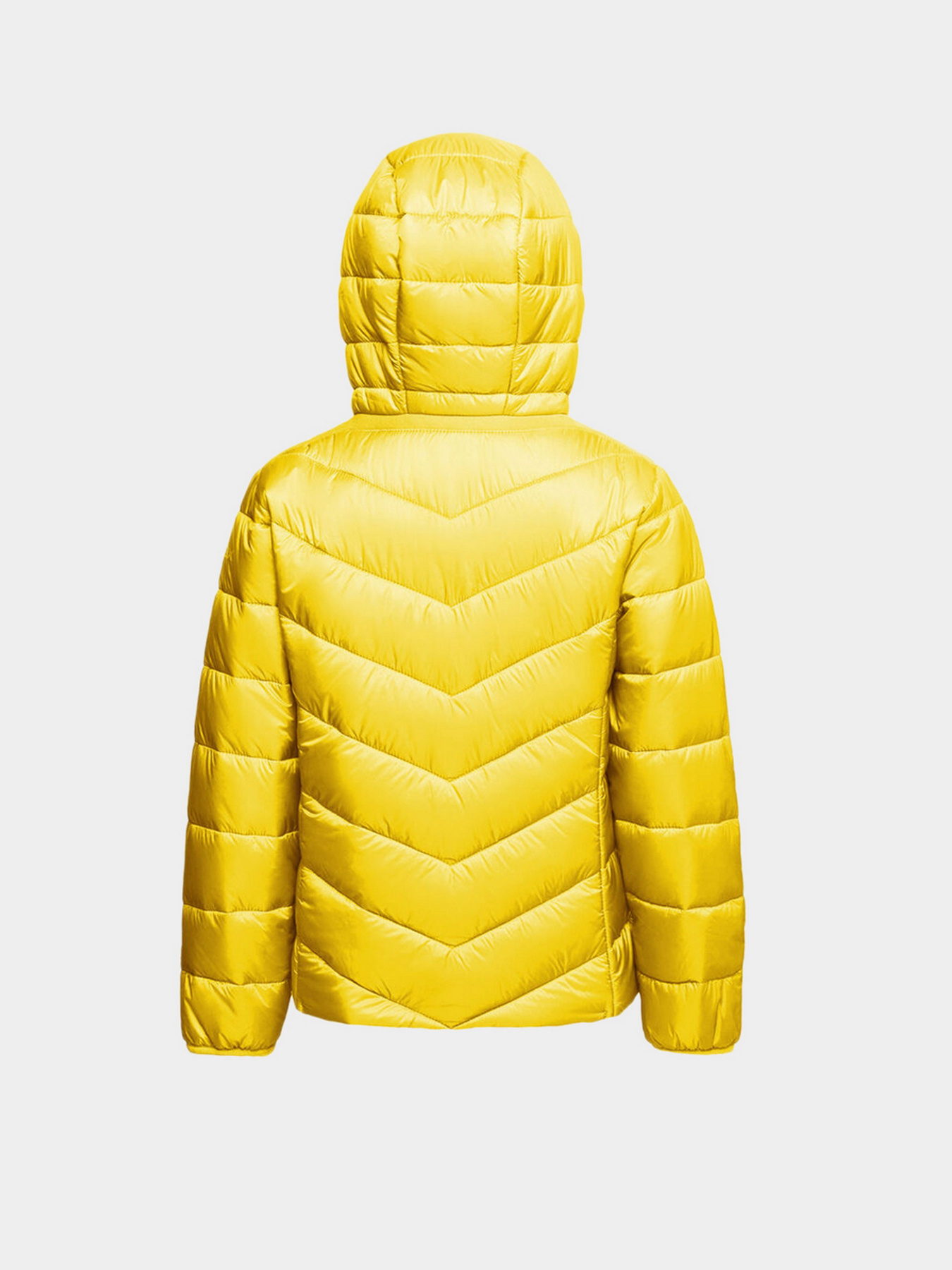 Демісезонна куртка Geox Agata модель K1420B-T2562-F2102 Фото