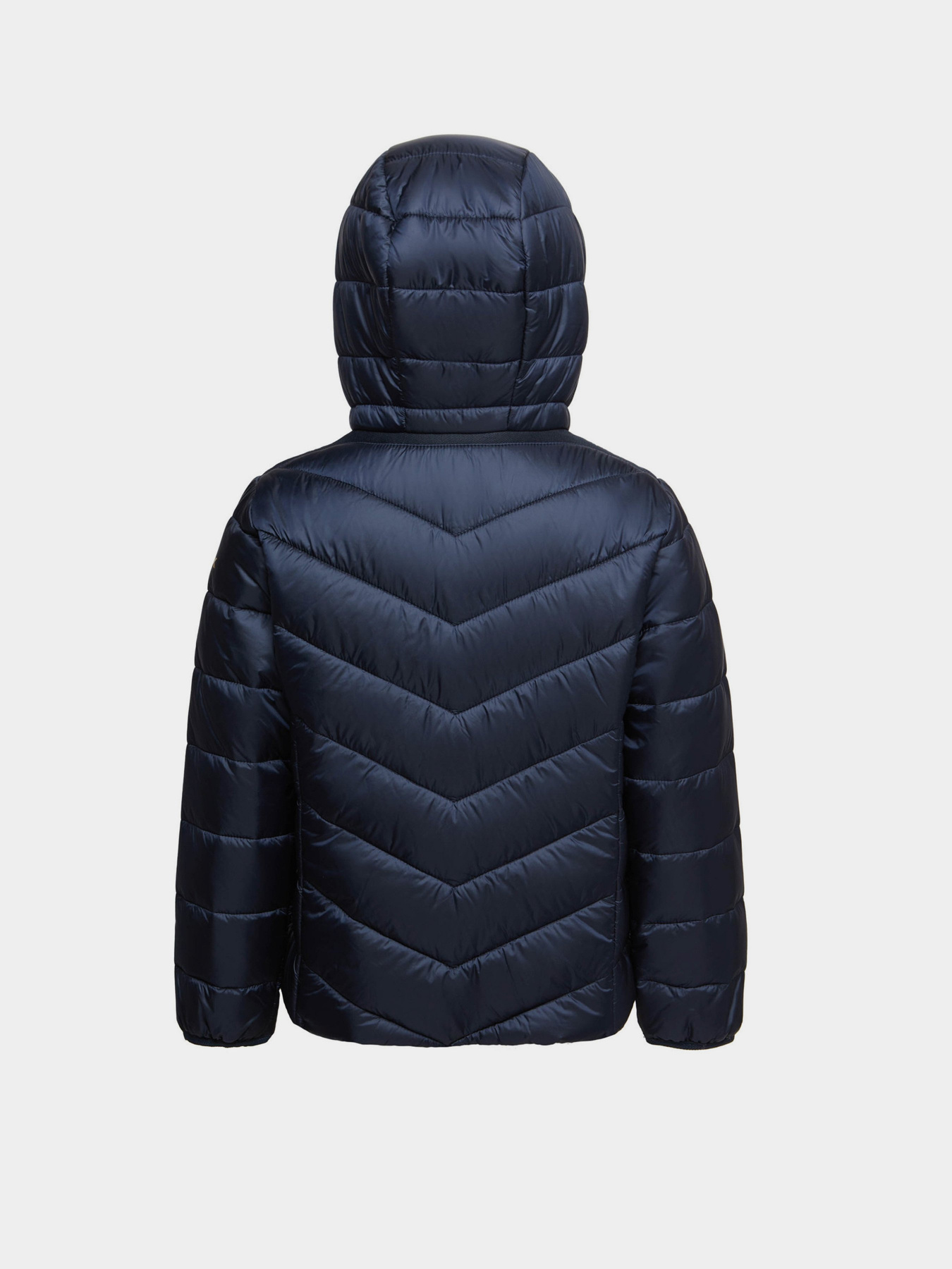 Демісезонна куртка Geox Agata модель K1420B-T2562-F4491 Фото