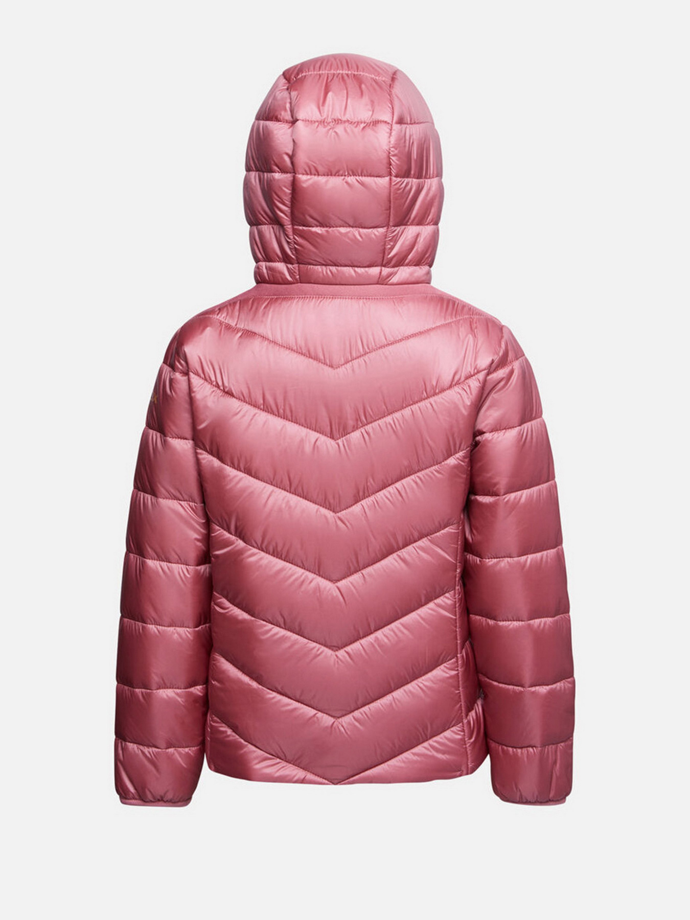 Демісезонна куртка Geox Agata модель K1420B-T2562-F8697 Фото