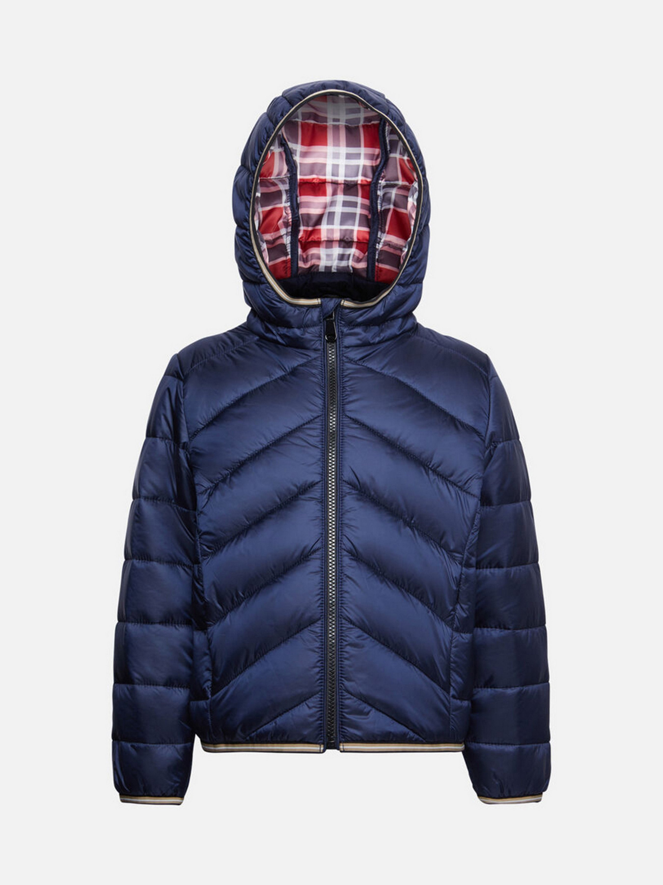 Демісезонна куртка Geox Riddock модель K1420E-T2562-F4491 Фото