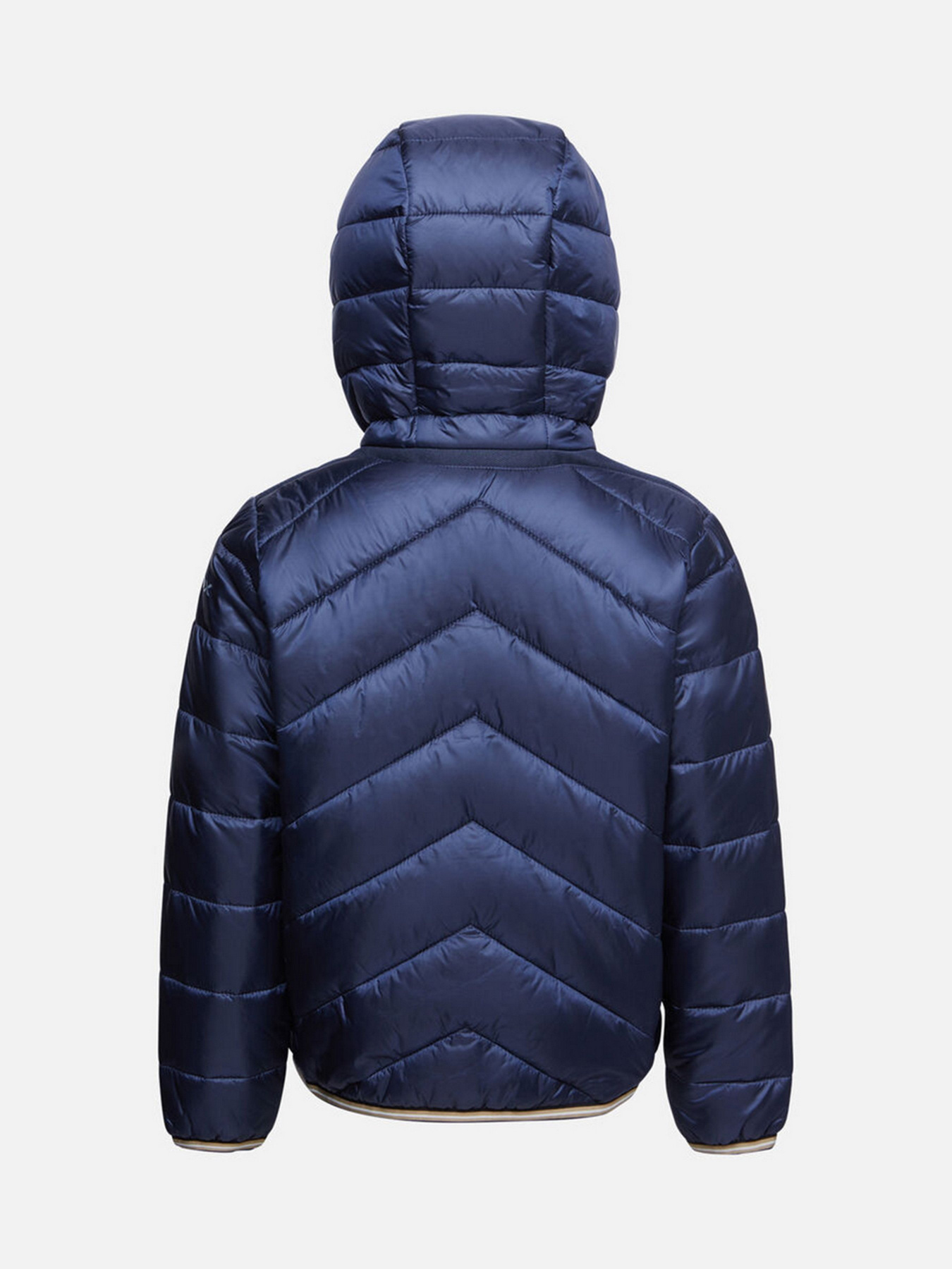 Демісезонна куртка Geox Riddock модель K1420E-T2562-F4491 Фото