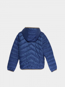 Демісезонна куртка Geox Riddock модель K1420E-T2562-F4546 Фото