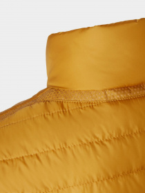 Жилет Geox Dereck модель M1421G-T2606-F2120 Фото