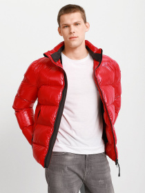 Демисезонная куртка Geox Sile модель M0428J-T2657-F7176 Фото