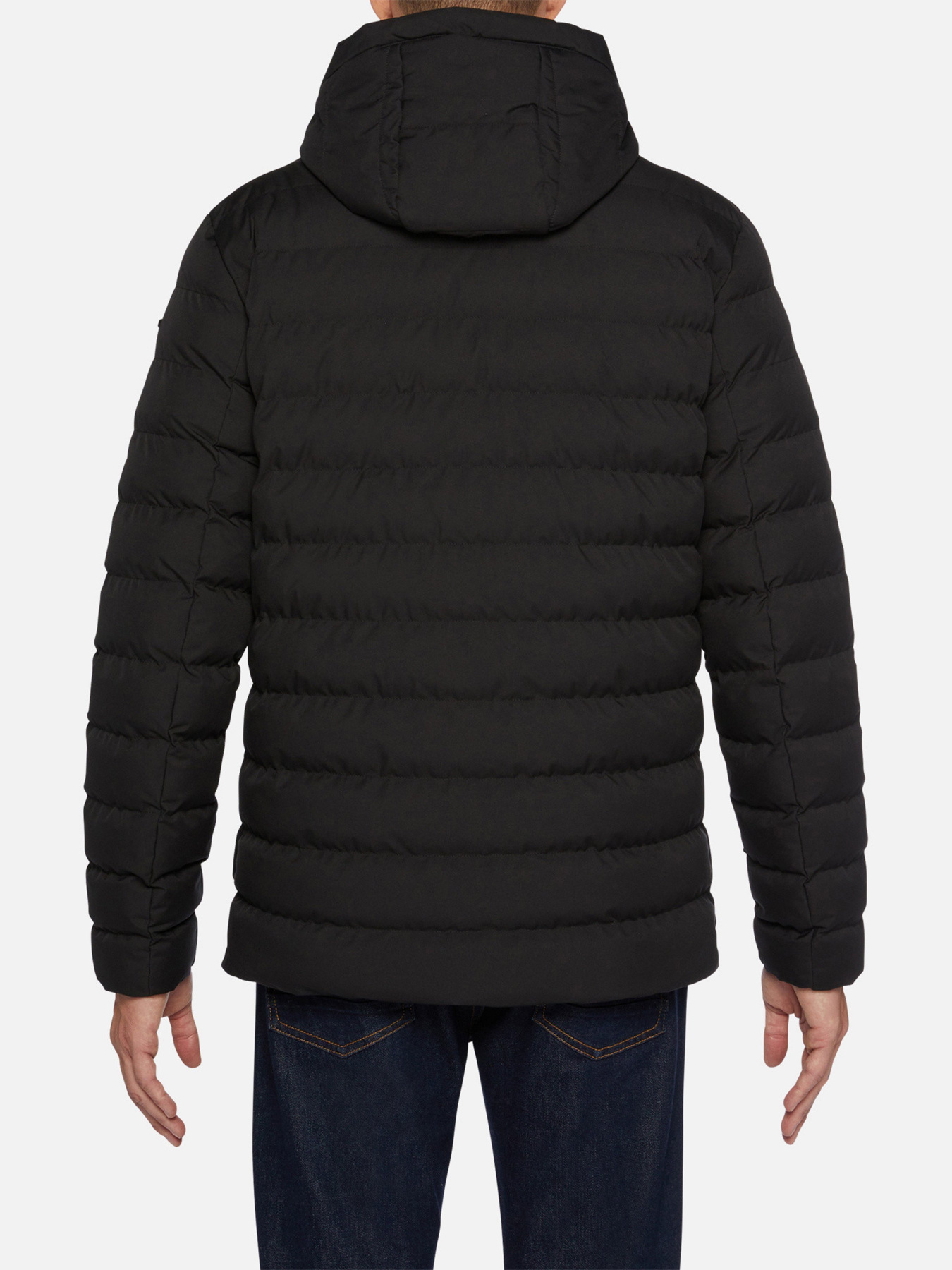 Зимняя куртка Geox Hallson Herr модель M2628S-T2887-F9000 Фото