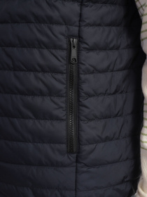 Утеплений жилет Geox Wilmer Sky Captain модель M3522G-T2973-F1624 Фото