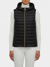 Утеплений жилет Geox Jaysen модель W3625D-T2562-F9000 Фото