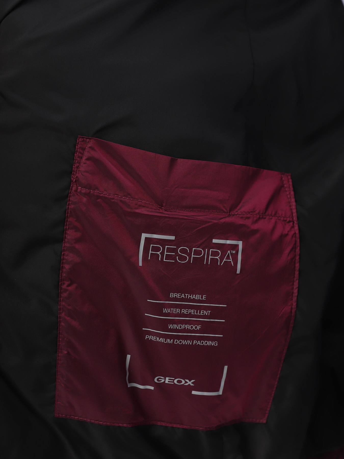 Зимняя куртка Geox Jaysen модель W3625E-T2566-F8266 Фото