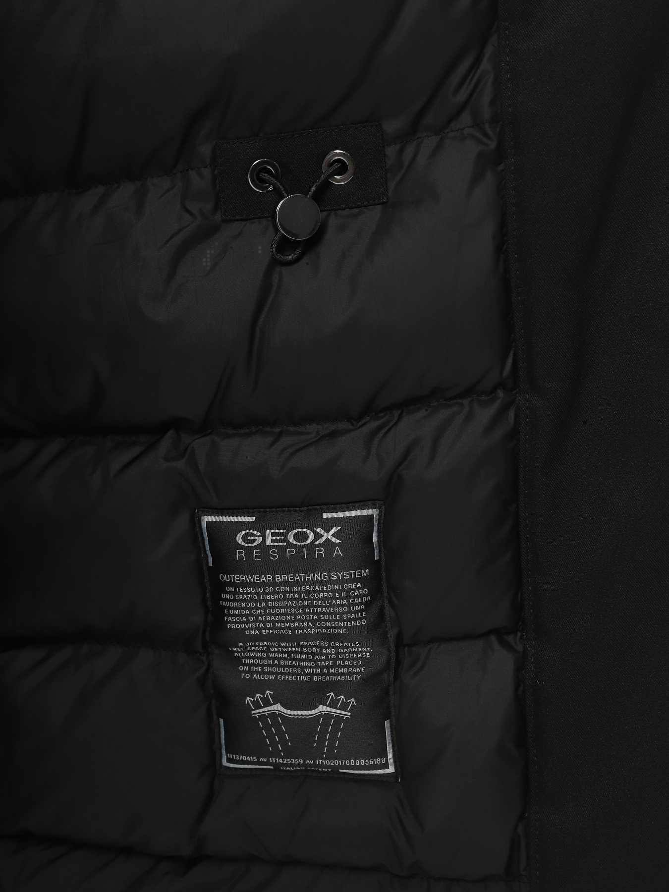 Парка Geox Carum модель W3628K-T2951-F9000 Фото