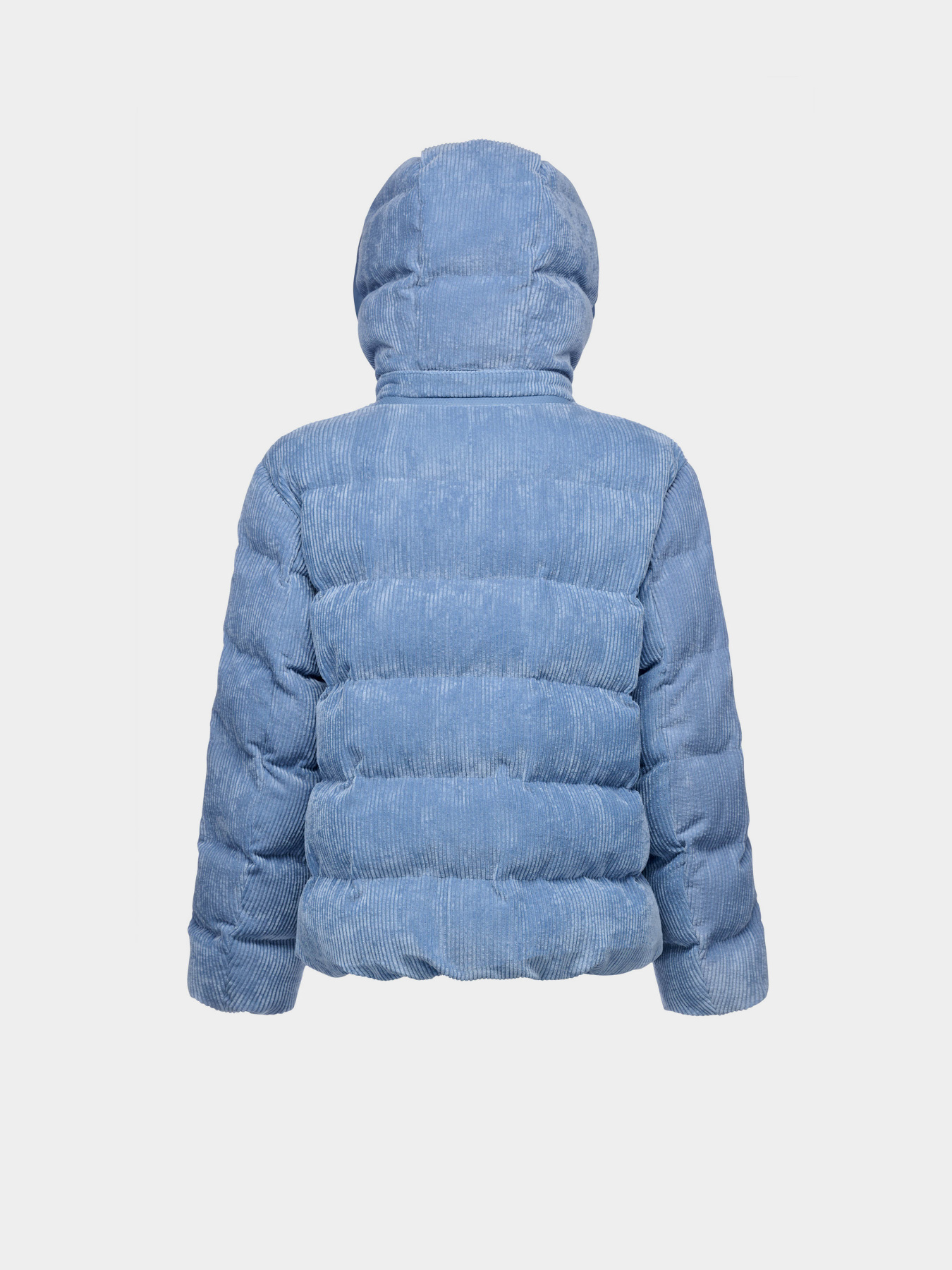 Зимняя куртка Geox Loisia модель W4628D-T3153-F4621 Фото