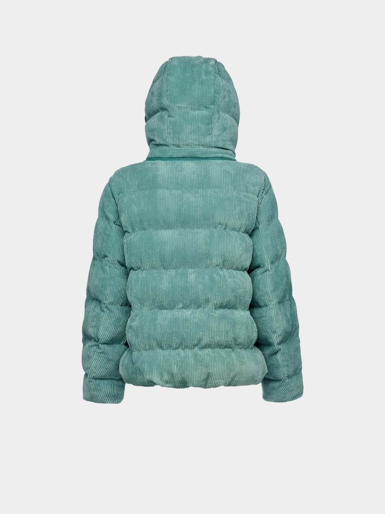 Демисезонная куртка Geox Loisia модель W4628D-T3153-F4622 Демисезонная куртка Geox Loisia модель W4628D-T3153-F4622 Фото