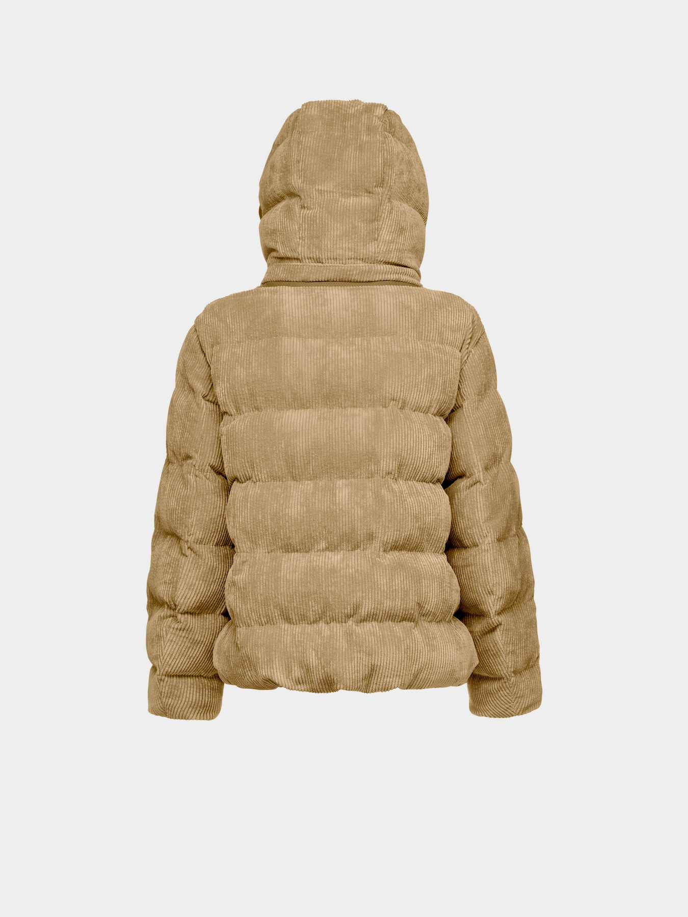 Зимняя куртка Geox Loisia модель W4628D-T3153-F5233 Зимняя куртка Geox Loisia модель W4628D-T3153-F5233 Фото