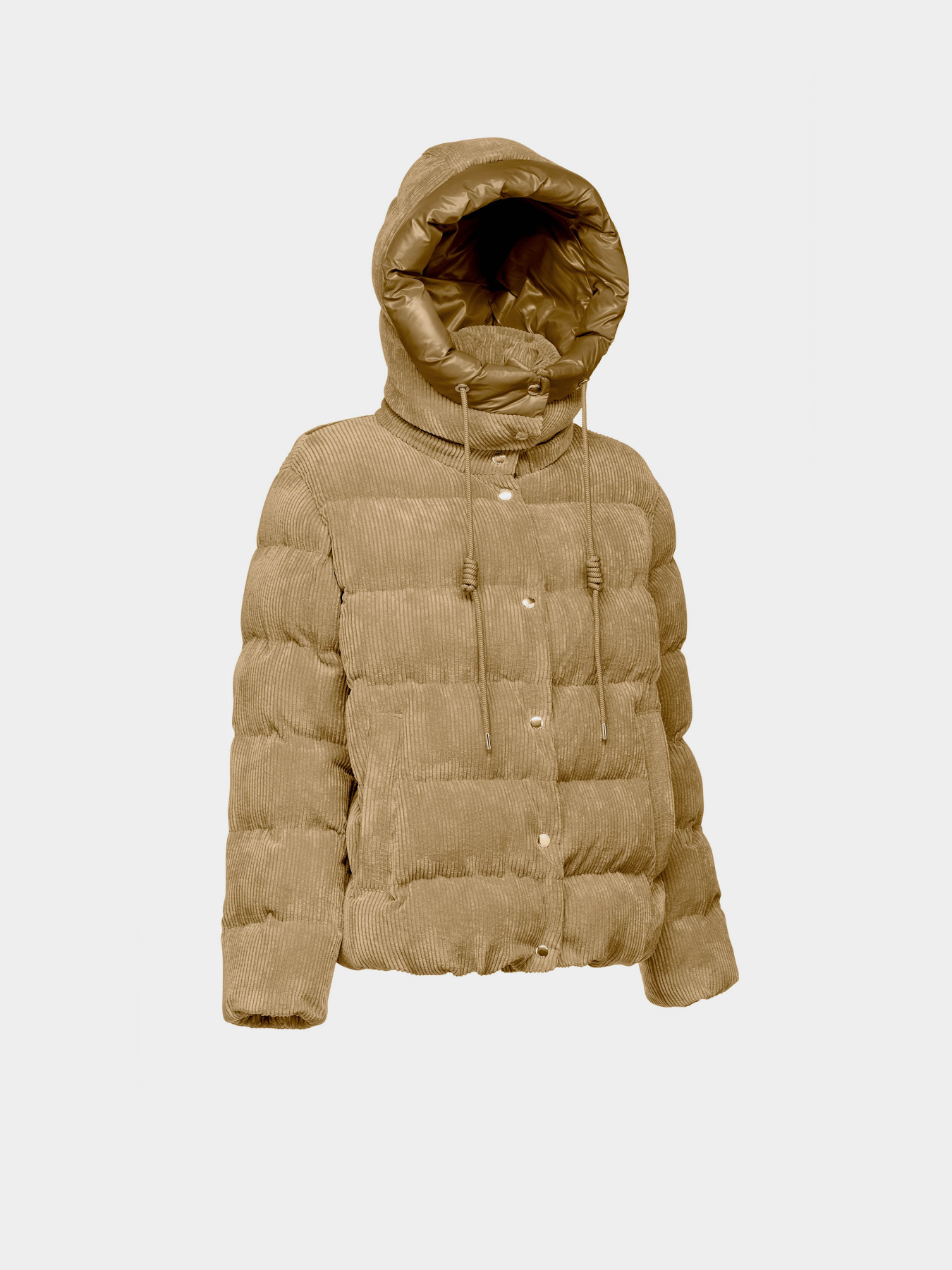 Зимняя куртка Geox Loisia модель W4628D-T3153-F5233 Зимняя куртка Geox Loisia модель W4628D-T3153-F5233 Фото