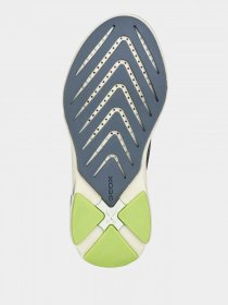 Кросівки повсякденні Geox Playkix модель J04DDA-011BC-C1695 Фото