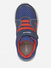 Кросівки Geox New Torque модель J157NA-0FE14-C0735 Фото