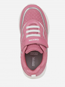 Кроссовки повседневные Geox Torque модель J158HA-0BC14-C0886 Кроссовки повседневные Geox Torque модель J158HA-0BC14-C0886 Фото