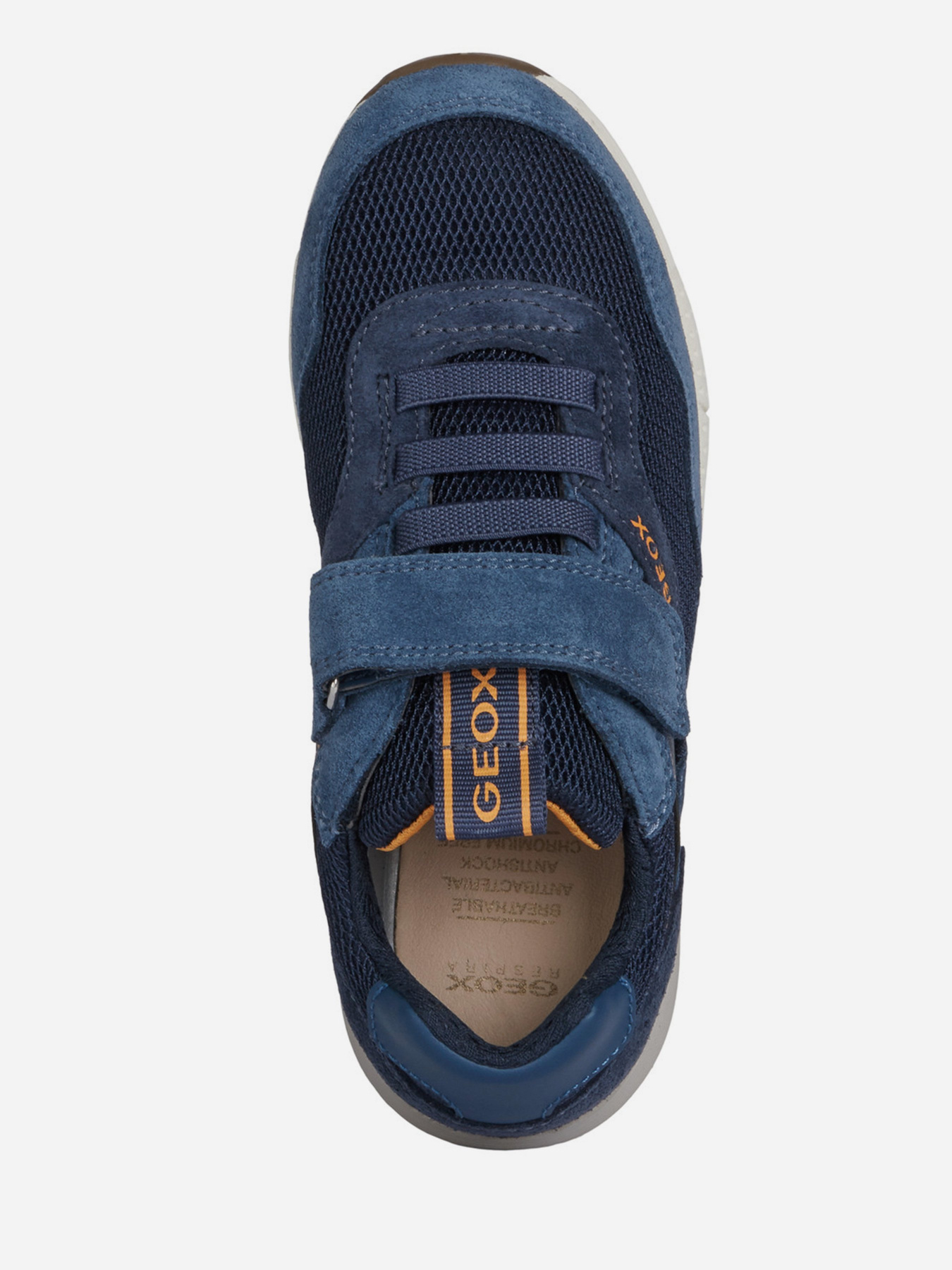 Кроссовки Geox Alben модель J159EB-02214-C0659 Фото