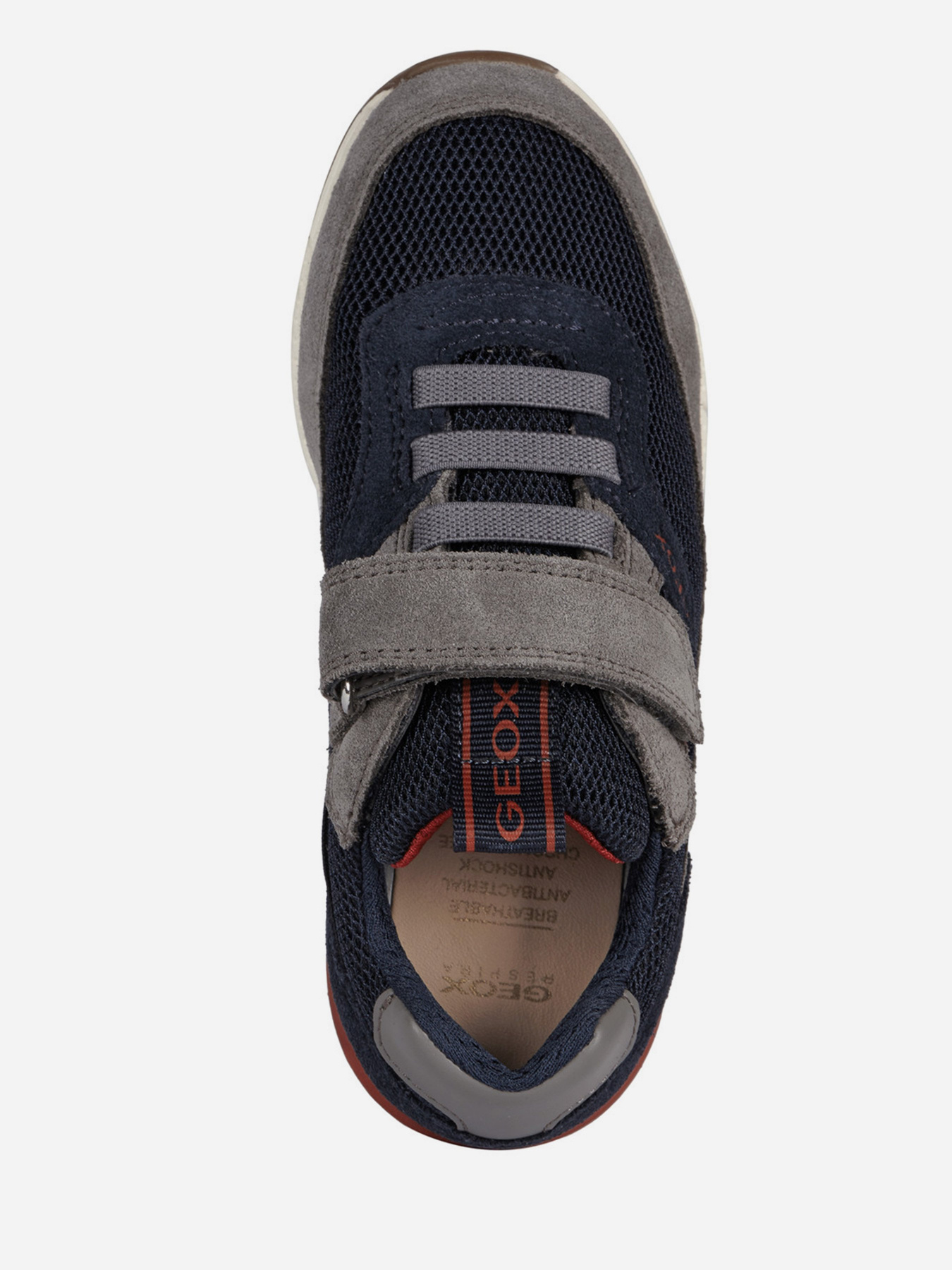 Кроссовки Geox Alben модель J159EB-02214-C0661 Фото