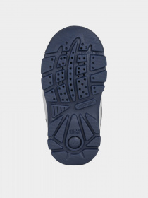 Чоботи Geox Flanfil модель B163VA-054FU-C0735 Фото