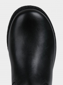 Сапоги Geox Shawntel модель J164ED-00085-C9999 Фото