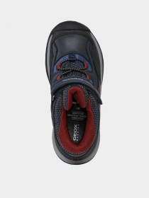 Ботинки Geox Teram модель J16AEA-0FEFU-C4244 Фото