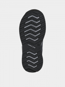 Ботинки Geox Teram модель J16AEA-0FEFU-C4244 Фото