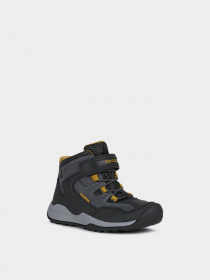 Ботинки Geox Teram модель J16AEA-0FEFU-C9241 Фото