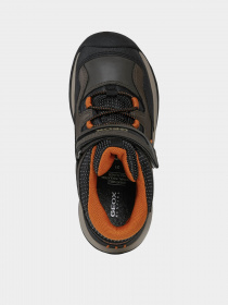 Ботинки Geox Teram модель J16AEA-0FEFU-CA37L Фото