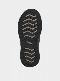 Ботинки Geox Teram модель J16AEA-0FEFU-CA37L Фото