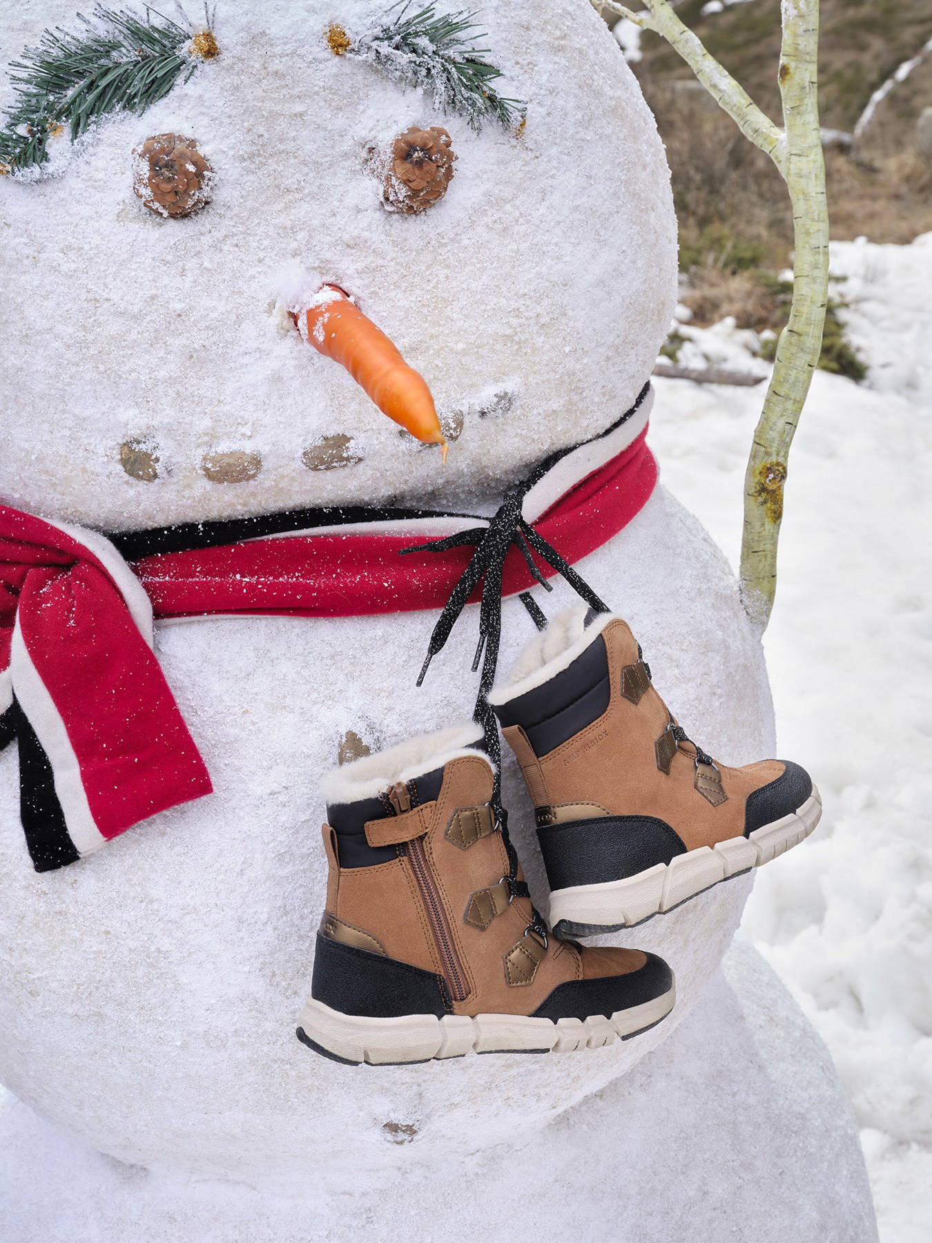 Сапоги Geox Flexyper модель J16APA-022FU-C6175 Фото