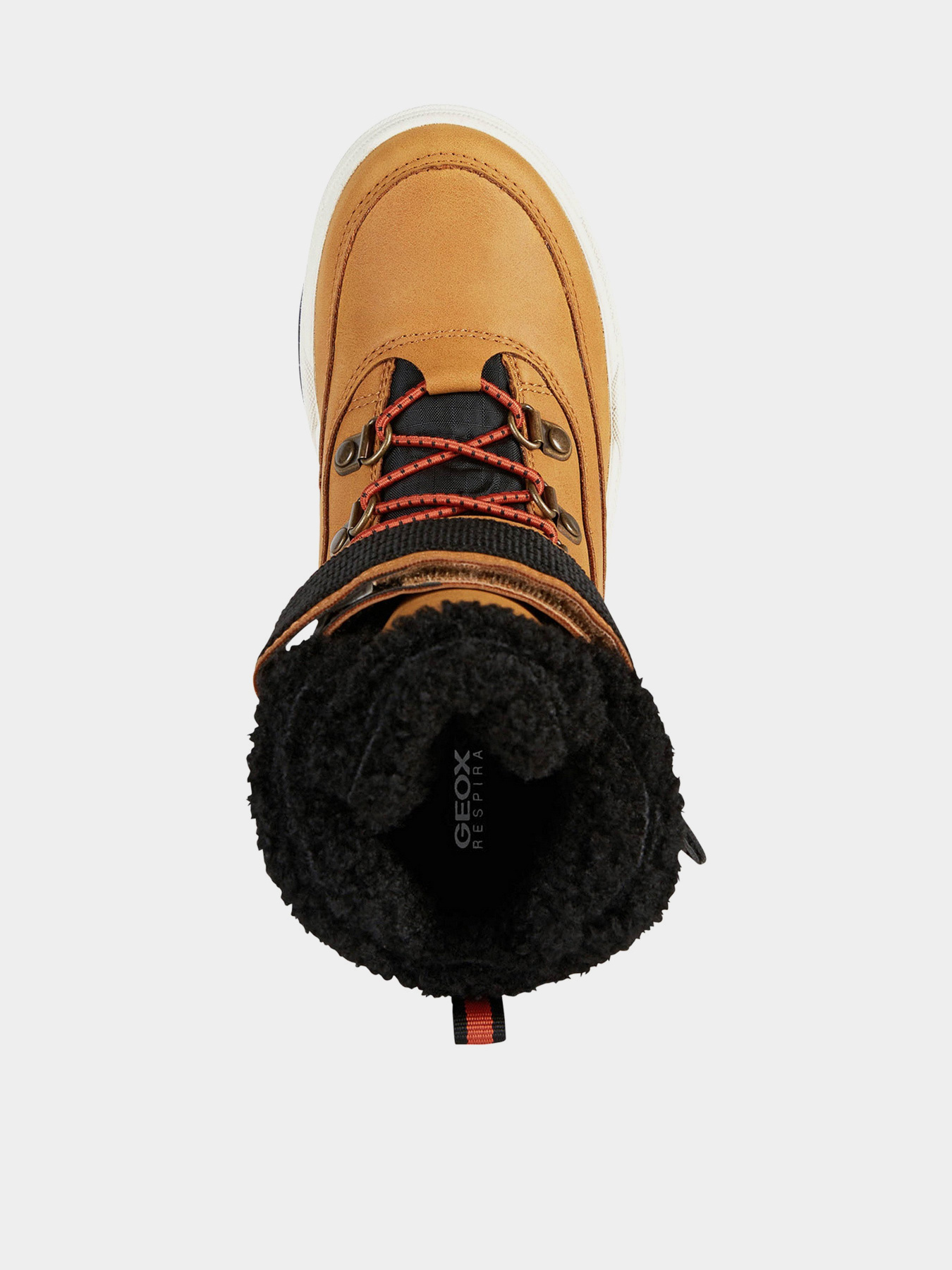 Ботинки Geox Bunshee модель J26D8A-0MEFU-C2G9B Фото