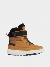 Ботинки Geox Bunshee модель J26D8A-0MEFU-C2G9B Фото