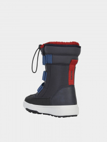 Чоботи Geox Bunshee модель J26D8B-0FUME-C0735 Фото