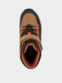 Черевики Geox Sentiero Abx модель J26FSC-0FUCE-C6241 Фото