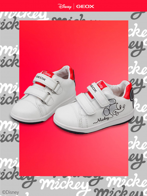 Кеды низкие Geox Flick модель B351LA-08554-C0404 Фото