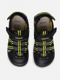 Сандалии Geox Kyle модель J15E1A-014CE-C0802 Фото