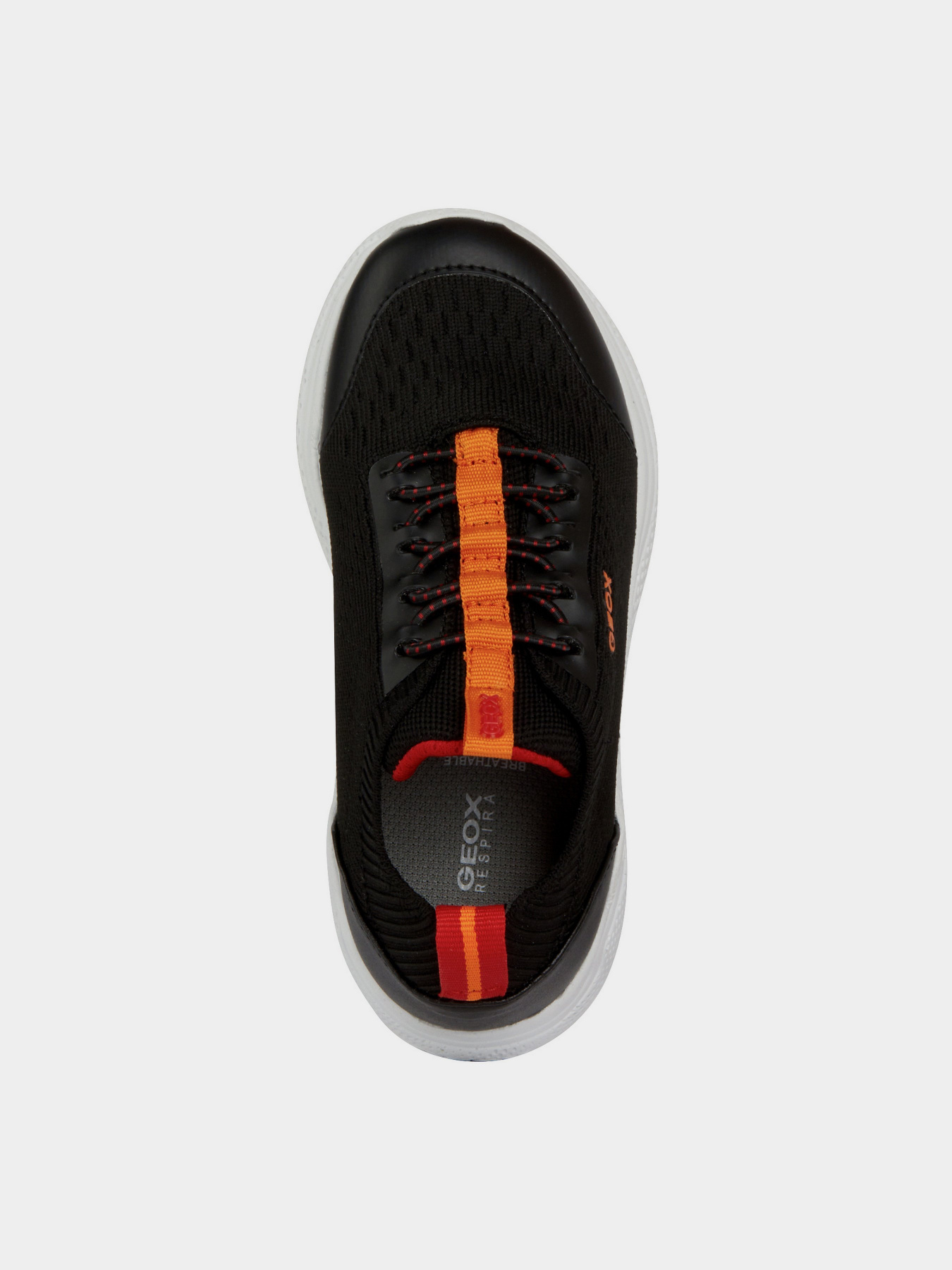 Кросівки Geox Sprintye модель J25GBA-0006K-C0038 Фото