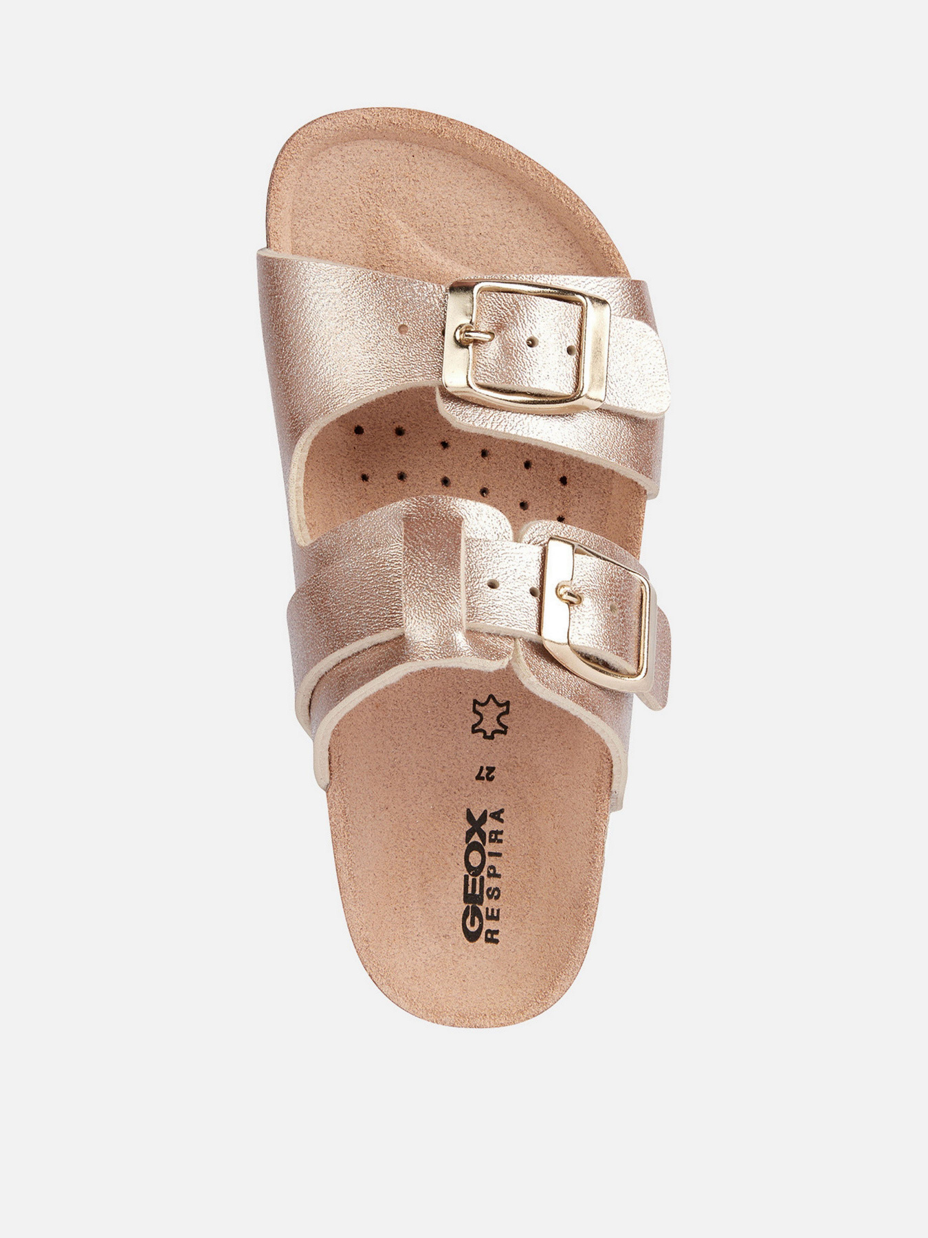 Шлепанцы Geox Adriel модель J358ME-000BJ-C8124 Шлепанцы Geox Adriel модель J358ME-000BJ-C8124 Фото