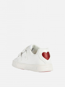 Кеды низкие Geox Skylin модель J358WA-054AS-C0050 Фото