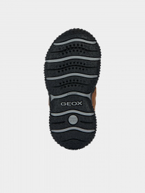 Ботинки Geox Baltic модель B2620A-0ME50-C6556 Фото