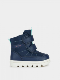 Сапоги Geox Willaboom модель B365AE-0FU54-C4002 Фото