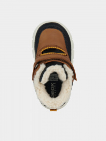 Ботинки Geox Willaboom модель B365BC-0ME22-CR69B Фото