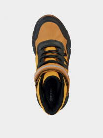 Черевики Geox Flexyper Plus модель J36LCD-0MEFU-C2G9B Черевики Geox Flexyper Plus модель J36LCD-0MEFU-C2G9B Фото