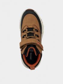 Кроссовки повседневные Geox FLEXYPER PLUS модель J36LCG-0MEFU-C2G9B Фото