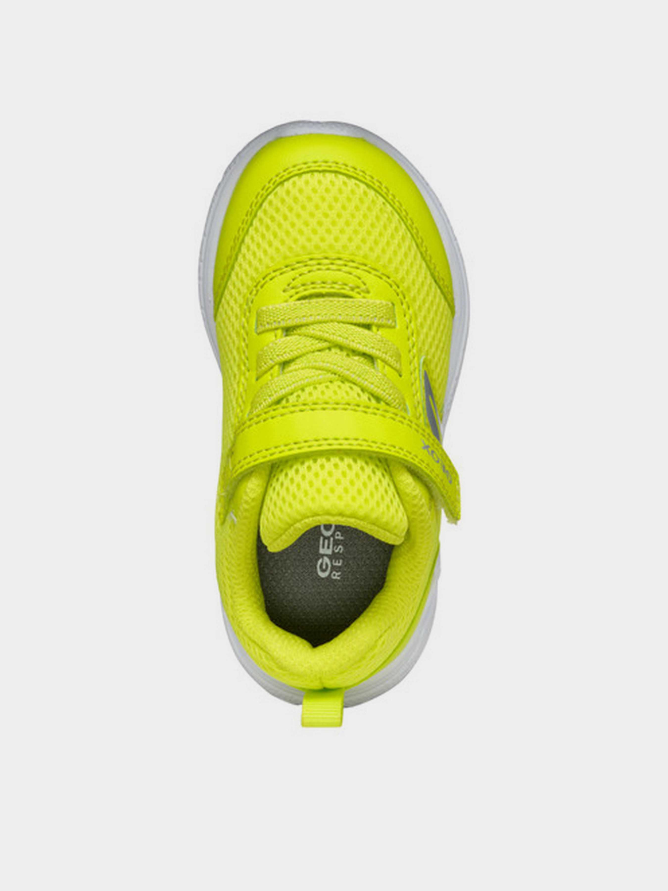 Кросівки Geox B Sprintye Boy Модель B454UC-01454-C3008 Фото