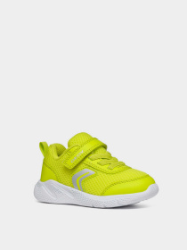 Кросівки Geox B Sprintye Boy Модель B454UC-01454-C3008 Фото