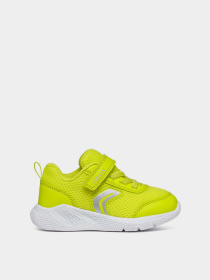 Кроссовки Geox B Sprintye Boy модель B454UC-01454-C3008 Фото